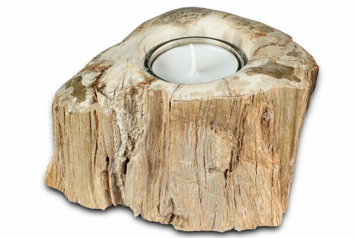 Polished Petrified Wood Candle Holder - Madagascar #337569